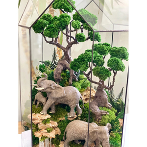 Wholesale Modern Unique Design Glass & Metal Terrarium Planter Custom Home Decor Geometric Succulent Box for Wedding Gift - Product Image 5