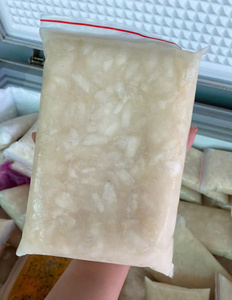 Purée de Corossol Congelée de Haute Qualité du Vietnam, Mélange de Pulpe de Graviola pour Base de Jus et Glaçage de Pâtisserie - Usine Macy - Product Image 2