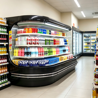 Refroidisseur ovale lumineux à LED pour allée principale de supermarché, à refroidissement rapide