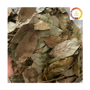 ใบชาสมุนไพรสำหรับส่งออก |   ผู้จัดจำหน่ายผลไม้เกรวิโอลา (มะเฟือง) ออร์แกนิกแบบขายส่งจากเวียดนาม - Product Image 4