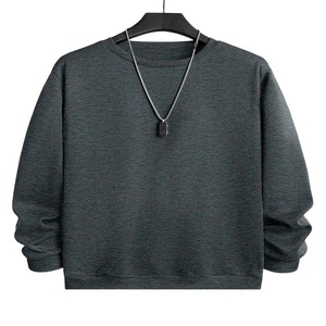 Sudadera Unisex Gris con Cuello Redondo, Corte Regular, Forro Polar No Tejido, Ropa Casual de Primavera, Ecológica, Poliéster/Algodón - Product Image 3