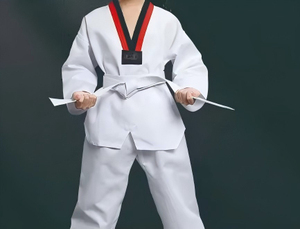 Fabricant OEM d'uniformes de Taekwondo, Dobok blanc à col en V, vêtements d'entraînement en coton et polyester pour les écoles, les clubs et les distributeurs - Product Image 2
