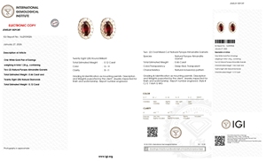Nouveaux produits très demandés : Boucles d'oreilles clous en or blanc massif 14 carats avec grenat naturel taille ovale 5x3mm et halo de diamants pavés de 1mm - Product Image 6