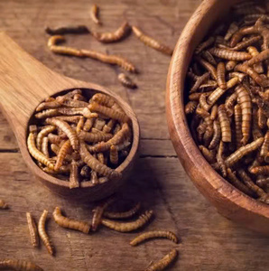 Larves de Mouches Soldat Noires Séchées Naturelles, Friandise pour Animaux, Aliment Entier pour Insectes, Riche en Protéines, Sans Céréales pour Oiseaux - Product Image 4