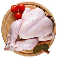 Pollo Entero Congelado Halal, Sin Cafeína, Sin Grasas Trans, Empaque a Granel, Proceso IQF, 25 kg, Alta Calidad, 1 Año de Vida Útil