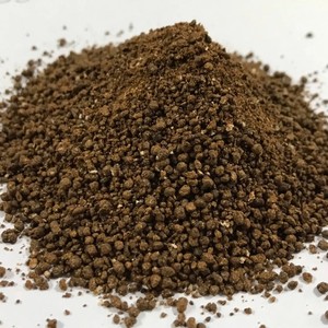 Poudre de mélasse séchée dans la commande en gros pour les animaux à bas prix | Made in Viet Nam - Product Image 2