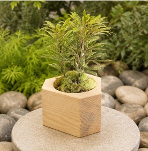 Maceta Pequeña de Madera Vintage para Suculentas, Macetero de Madera Natural para Escritorio, Soporte Geométrico Creativo para Flores, en Oferta - Product Image 2