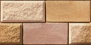 Azulejos de pared de primera calidad Asia Tiles Elevation Tiles de 300x600 mm para villas de lujo. - Product Image 4