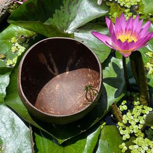 Disposable Polished <b>Coconut</b> <b>Shell</b> Bowl Combo Spoon Eco-Friendly Bohemian Design Camping Custom Logo Option Bowl Diameter 12-13cm - Product Image 4
