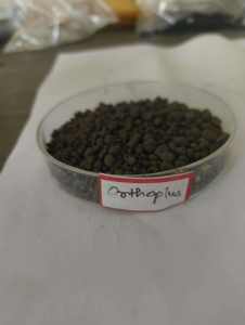 Approvisionnement en gros d'engrais organique en poudre Orthoplus à haute efficacité pour la croissance des cultures, disponible à un prix abordable - Product Image 2