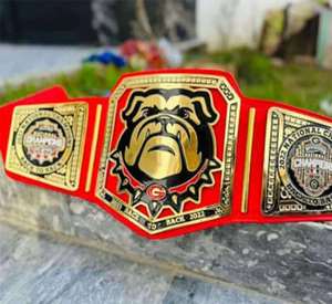 Custom Made Adult Championship Belt Premium Brass Zinc Metal <b>Plate</b> Personalized <b>Name</b> Title Wrestling Boxing Sports Trophy - Product Image 5