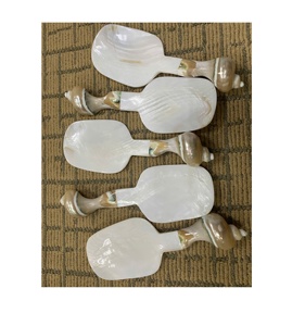 Vietnam Turbo Shell Mango 20cm Tallado a mano Madre de perla Cuchara de cocina para el hogar Cocina Fiesta Uso Elegante Cubiertos Restaurante - Product Image 3