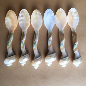 Produit tendance chaud de haute qualité Cuillère en coquille de mer naturelle pour ustensiles de cuisine Cuillères de service en nacre Serveurs à salade - Product Image 5
