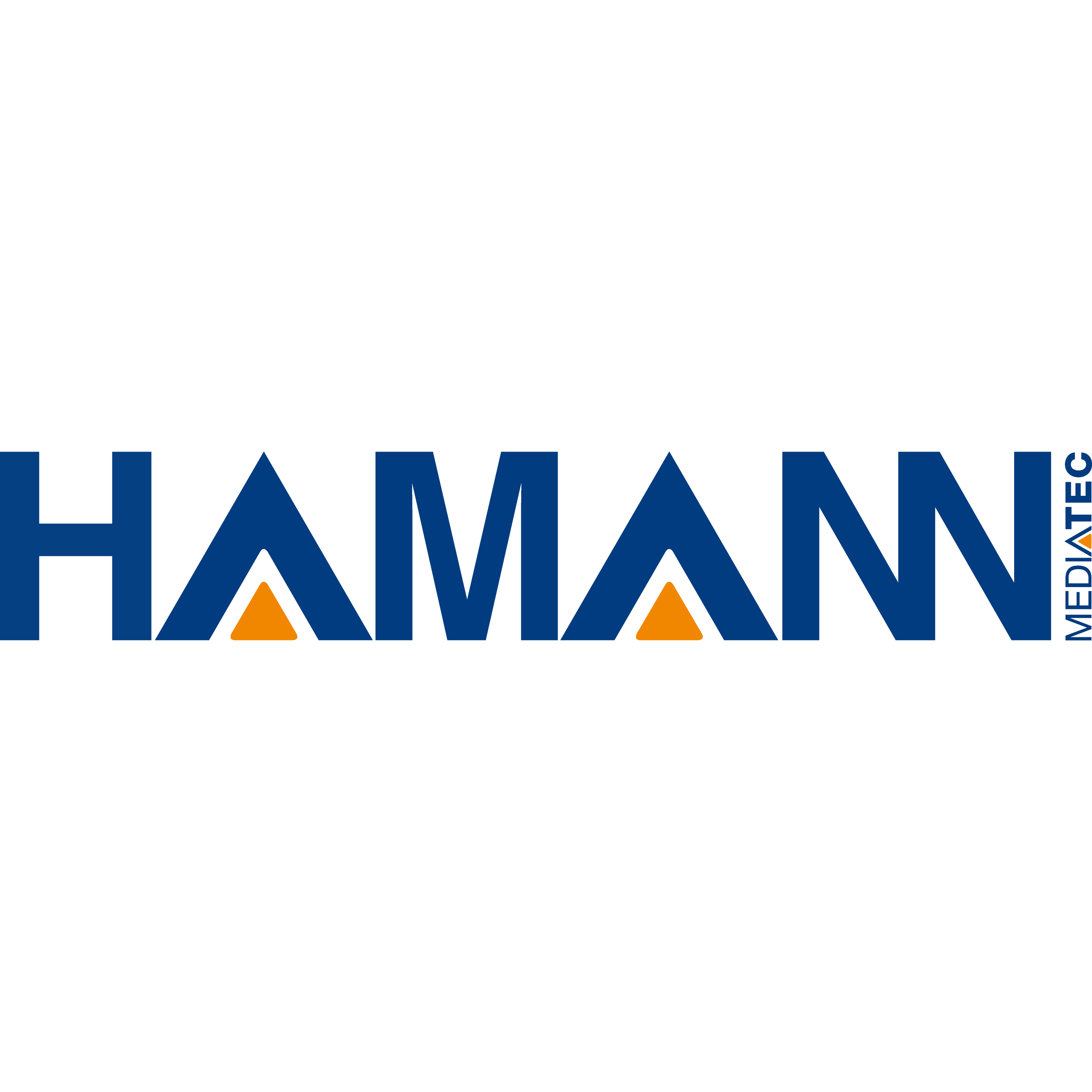 HAMANN Media Tec GmbH logo