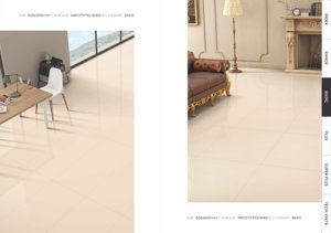 Azulejos de Porcelana Técnica Premium para Áreas de Alto Tráfico, Uso Interior Moderno con Durabilidad y Rendimiento Superiores - Product Image 2