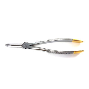 Pinzas de Extracción Dental 41 con Mango Dorado, Instrumento Quirúrgico de Acero Inoxidable para Dentistas, Extracción Profesional de Dientes - Product Image 4