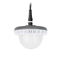 Ampoule LED à intensité variable pour la volaille E27/HT19 Socket IP67 pour la maison de la volaille Sunrise and Sunset Flicker Free