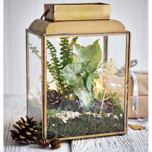 Terrarium en verre pour plantes aériennes et mousse, avec cadre en métal noir, terrarium en verre pour succulentes, terrarium en verre géométrique moderne pour intérieur - Product Image 1