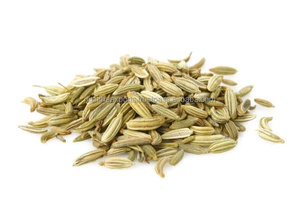 Foeniculum Vulgare Semilla de Hinojo dulce Saunf Mitthi Seed Ani Hinojo Saunf Anís Comestibles Hierbas crudas Producto a base de hierbas - Product Image 2