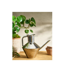 Bote DE AGUA DE ACERO INOXIDABLE artesanal de primera calidad para plantas de balcón y amantes del jardín que buscan una herramienta de riego duradera - Product Image 1