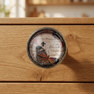 French Style Modern Round Metal <b>Crystal</b> Drawer <b>Knob</b> Butterfly Paris Postale Design for Dresser Cabinet Handle Bathroom Hotel Use - Product Image 1