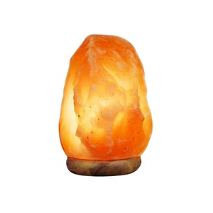 Lámparas de Sal Orgánicas NSLT de 2-4 kg con Diseño de Flores Talladas, Duraderas - Product Image 1