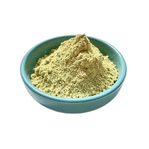 Polvo de Piel de Piña de Primera Calidad, Mejor Precio, Más Vendido, de Fábrica en Vietnam, Empacado en Bolsas de Varios Tamaños - Product Image 3