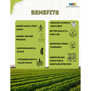 Soluciones de Cultivo Sostenible, Potenciador del Crecimiento de Plantas para Invernaderos e Hidroponía - Product Image 3