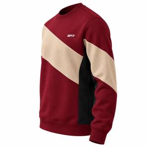 Sweat-shirt à col rond pour homme, de qualité supérieure, avec blocs de couleur, logo personnalisé brodé, écologique, décontracté, pour l'entraînement, vêtements de sport en coton - Product Image 5