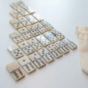 Juego de 25 piezas de huesos de búfalo de calidad perfecta para niños y adultos, juego de mesa para juegos de interior para la familia, a un precio competitivo. - Product Image 1