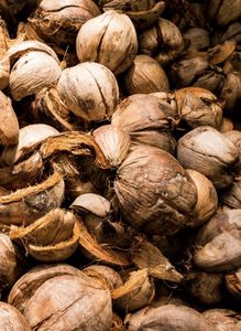 High-Quality Coco Peat Coir Blocks for Plant Growing Media & <b>Soil</b> Conditioner – Low EC, Wholesale Price - Product Image 3