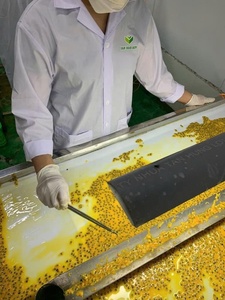 เสาวรสสดแช่แข็งเขตร้อนกลิ่นหอมบริสุทธิ์ - Product Image 2