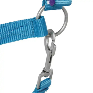 Cabestro de nailon azul para caballo con acolchado morado y hebillas metálicas - Product Image 4