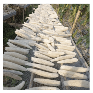 Éponges de loofah naturelles séchées, matériau de gourde de loofah écologique pour le nettoyage de la cuisine et l'artisanat décoratif, origine Vietnam. - Product Image 6
