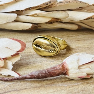 Modern Bohemia Cowrie Shell Brass <b>Ring</b> <b>Women</b> 18K Gold Plated Ocean Beach Jewelry Dainty Statement <b>Ring</b> - Product Image 1