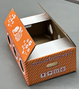 Caja de Cartón Corrugado Resistente, Ecológica y Hecha con Materiales Reciclados, para Fruta Fresca de Pomelo |   Exportación Agrícola - Product Image 4