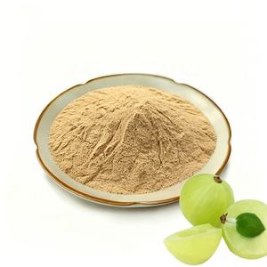 Poudre d'Amla de Haute Qualité, Qualité Alimentaire, Poudre d'Amla à Mailles Fines pour Renforcer l'Immunité et Stimuler la Croissance des Cheveux - Product Image 1