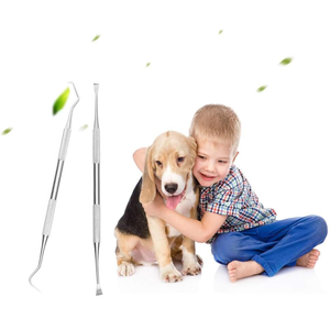 Herramientas Manuales para Limpieza Dental Canina, Removedor de Sarro, Raspador Dental Canino de Doble Cabeza, Acero Inoxidable Reutilizable, Certificado CE, Veterinario - Product Image 5