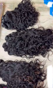Extensiones de Cabello Humano Indio, Doble Trama, Patrón Rizado, Textura Rizada, Precio de Fábrica al por Mayor - Product Image 4