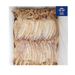 Calamars séchés de haute qualité, emballage sous vide écologique, normes européennes, personnalisables, soupes de fruits de mer, apéritifs, vente en gros directe - Product Image 1