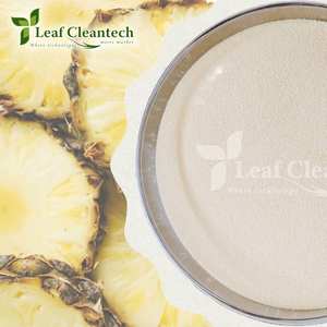 ผงเอนไซม์โบรมีเลนขวดบรรจุอาหารเกรดอินเดียอินเดียอินเดีย - Product Image 3