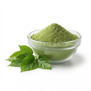 Extracto de Hoja de Morera en Polvo, Proveedor de Extractos de Plantas Herbales al por Mayor, Fabricante, Exportador a Granel a Precio de Mayoreo - Product Image 1