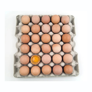 Œufs de poulet frais de qualité supérieure en gros à prix avantageux – Fournisseur en gros d'œufs de poulet frais à vendre - Product Image 5
