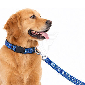 Ensemble collier et laisse pour chien avec sangle de cou réglable en néoprène solide, boucle sécurisée, anneau en D, coutures soignées pour chiens - Product Image 5