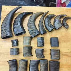 Juguete Masticable para Perros de Cuerno de Búfalo 100% Natural y Ecológico, Seguro y Duradero para Uso Diario en Varios Tamaños - Product Image 1