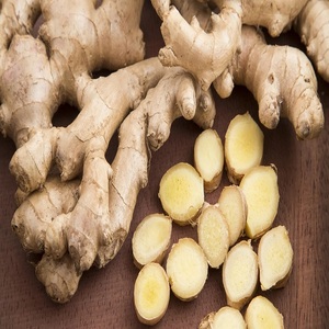 Raíz de Jengibre Orgánica Saludable, Cultivada Naturalmente, Producto Fresco con Sabor Intenso, Ideal para Cocinar Bebidas Herbales - Product Image 4