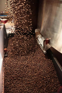 เมล็ดกาแฟอาราบิก้าออร์แกนิกสีเขียวขายส่ง สำหรับเครื่องชงกาแฟเอสเพรสโซเชิงพาณิชย์ คุณภาพเยี่ยมจากเวียดนาม ภาคกลางสูง - Product Image 4