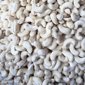 เวียดนาม ผู้จัดจำหน่ายเม็ดมะม่วงหิมพานต์ดิบคุณภาพสูง ขนาด W180 W320 เม็ดมะม่วงหิมพานต์ซานติโก ส่งออกไปยังเอเชีย ยุโรป และตะวันออกกลาง - Product Image 1