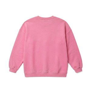 Winter Trendy Logo <b>Chenille</b> Patch Sweatshirts Wholesale Pink Crewneck Pullover Oversized Streetwear <b>Women</b> Warm <b>Jumper</b> Hoodies - Product Image 4