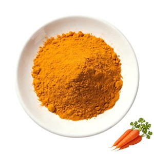 Fine Mesh 100% Natural Carrot Powder Pure Herbal Food Grade Carrot Root Powder Help Improve Digestive & Reproductive Health - Product Image 3